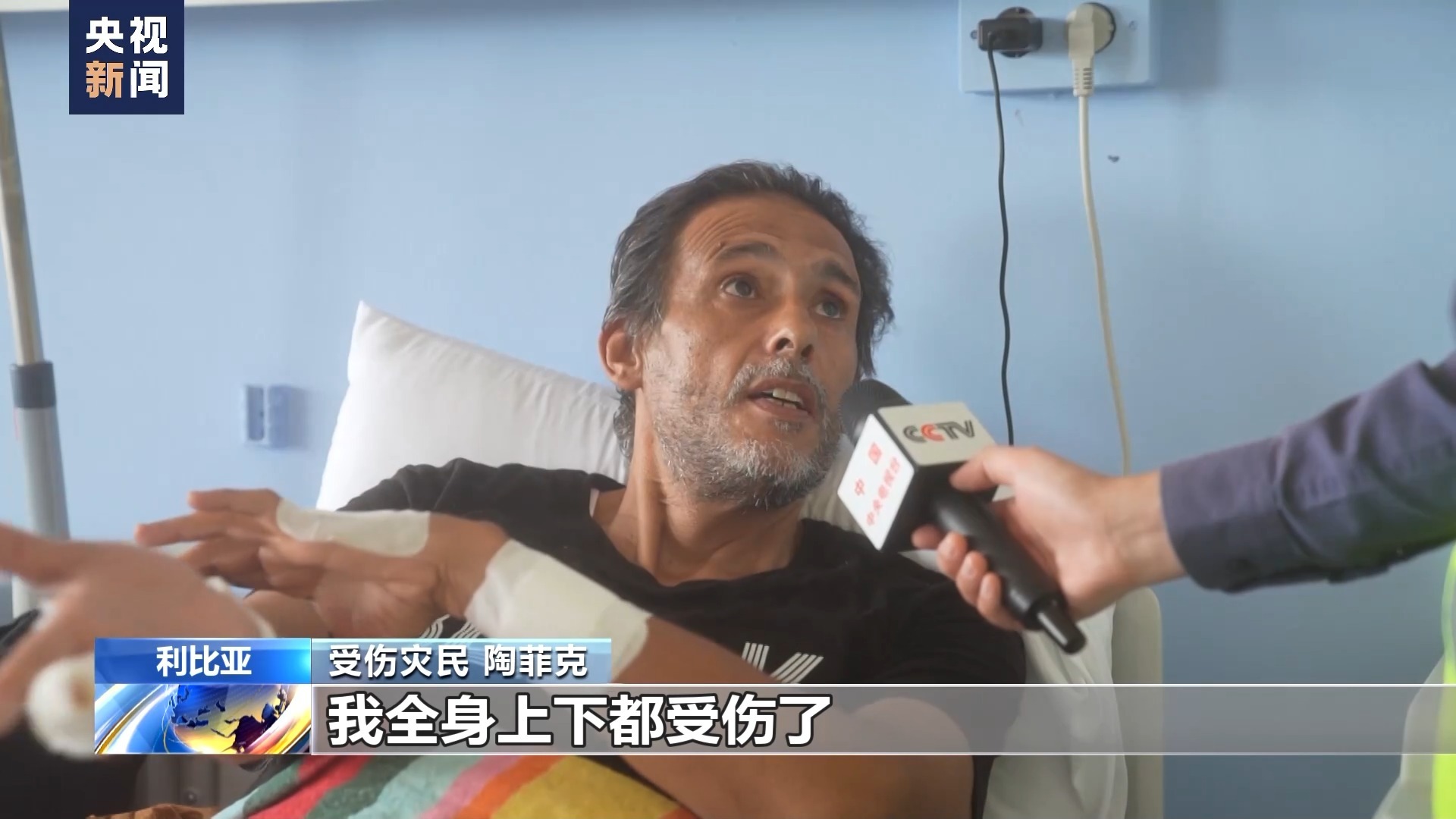 白菜免费送
